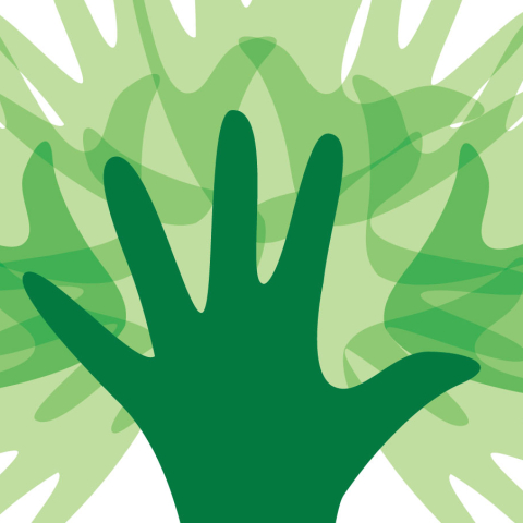Contreebute: Interactive Project