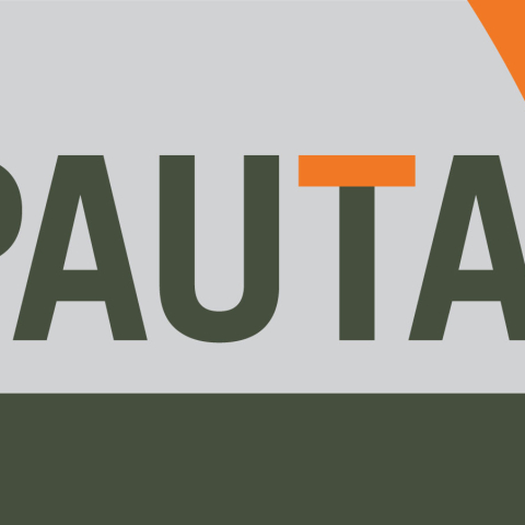 Pauta